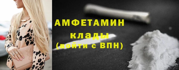 сатива Костерёво