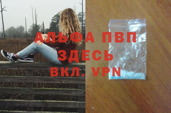 сатива Костерёво