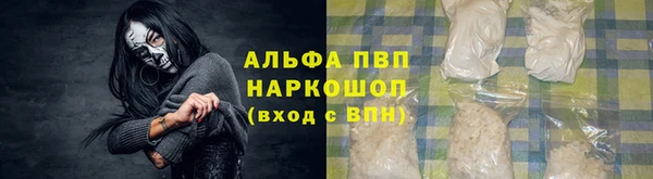 мяу мяу кристалл Корсаков