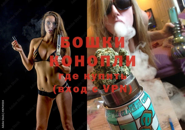 сатива Костерёво