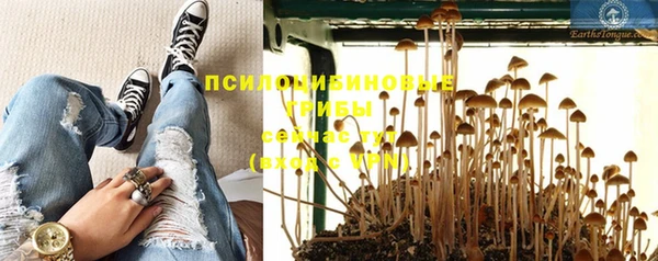 мяу мяу кристалл Корсаков